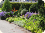 Front Shrubbery Garden